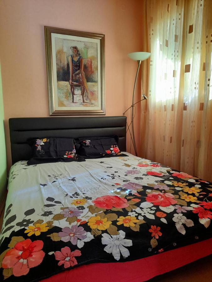 Villa Garden Apartments Herceg Novi Exterior photo