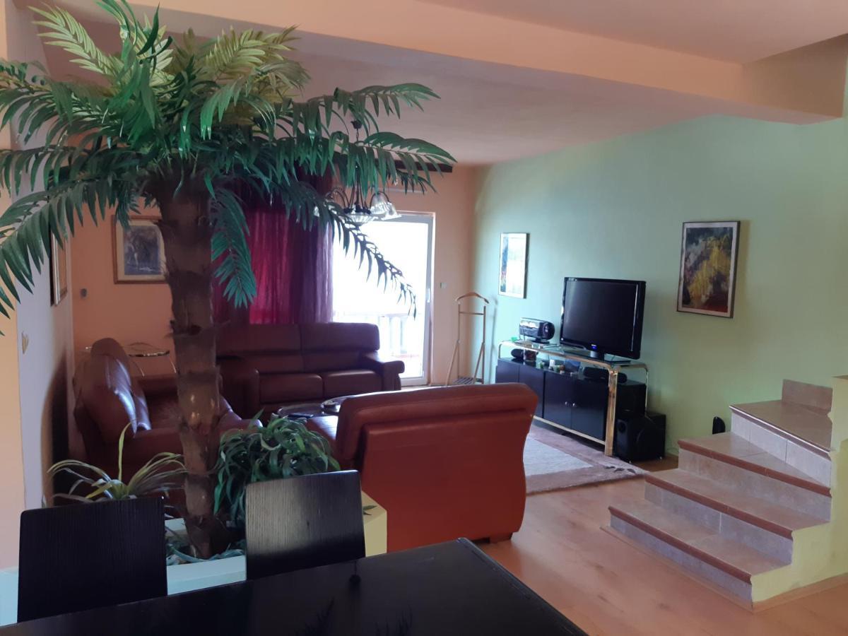 Villa Garden Apartments Herceg Novi Exterior photo