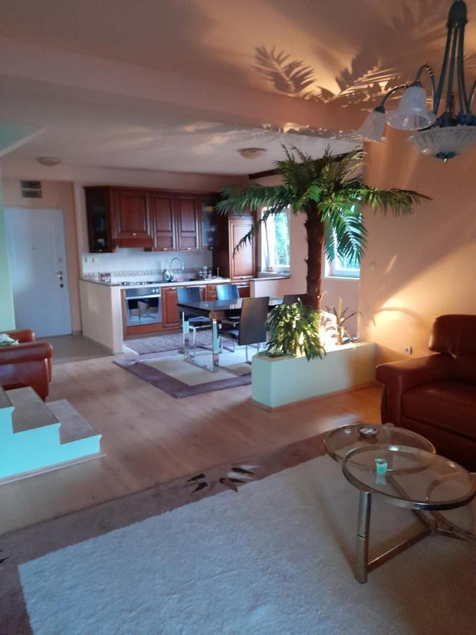 Villa Garden Apartments Herceg Novi Exterior photo